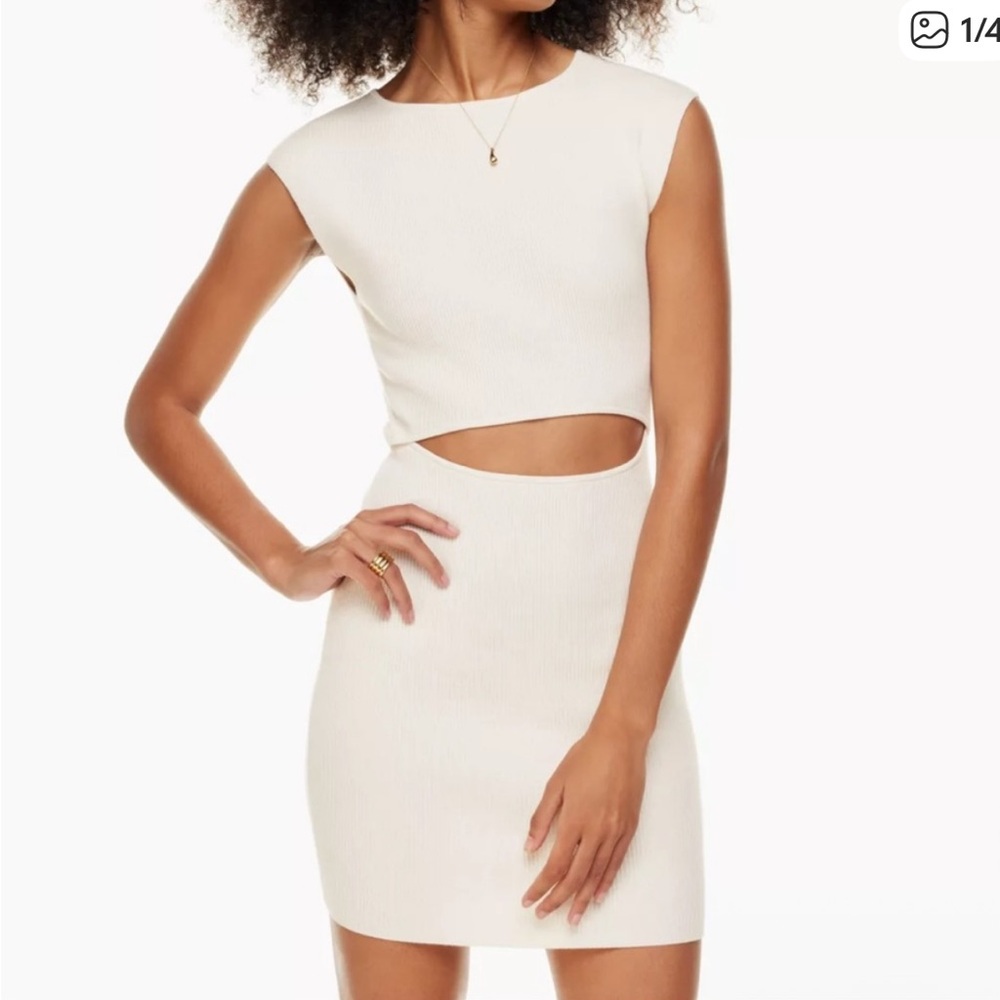 Aritzia Wilfred Knit Dress